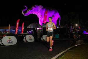 BIB: 
                            <button type="button" onclick="openModal(26535025)" class="btn btn-primary btn-sm float-right btn-popup" data-toggle="modal" data-target=".modal-high-quality">
                        <i class="fas fa-shopping-cart"></i> Add to Cart
                    </button>
                                            <button type="button" onclick="isThisMe(26535025, true)" class="btn btn-success btn-sm float-right btn-popup btn-isme hidden" data-toggle="tooltip" data-placement="bottom" title="นี่คือรูปของคุณใช่ไหม คลิกที่นี่เพื่อเอาเข้าอัลบั้ม">
                        <i class="fas fa-plus"></i> Add to album
                    </button>
                    <button type="button" onclick="isThisMe(26535025, false)" class="btn btn-warning btn-sm float-right btn-popup btn-isnotme hidden">
                        <i class="fas fa-ban"></i> Remove from album
                    </button>